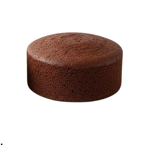 PAN CONGELADO CHCOCOLATE