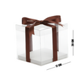 CAJA ACETATO 17X20 4-2