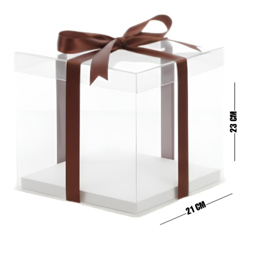 CAJA DE ACETATO 21X23 6-2