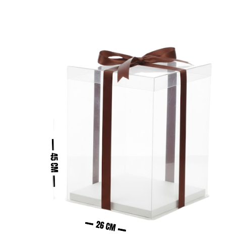 CAJA ACETATO 26X45 8-5