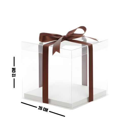 CAJA ACETATO FX8 26X12