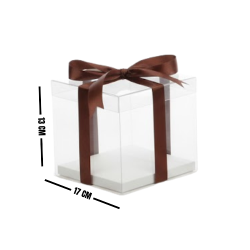 CAJA ACETATO 17X13 4-1