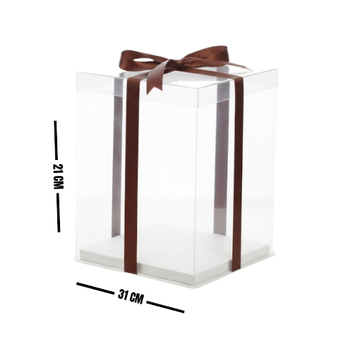 CAJA ACETATO 21X31 6-3