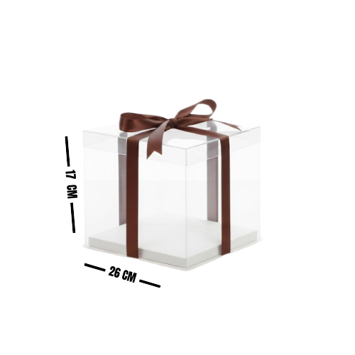CAJA ACETATO 26X17 8-1