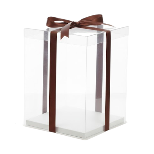 CAJA ACETATO 30X25 10-2