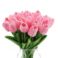TULIPAN