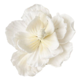 FLOR PASTILLAJE #3